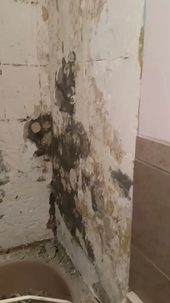 Bathroom renovation, before film: demolition water damage